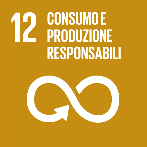 Obiettivo_di_sviluppo_sostenibile_12