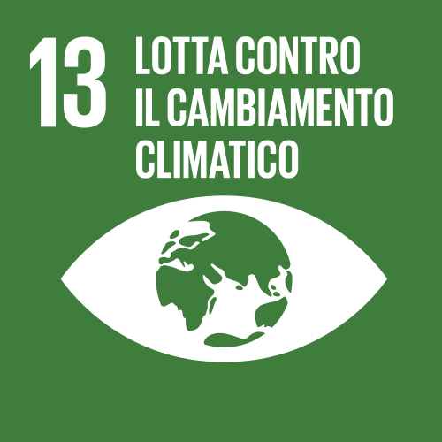 Obiettivo_di_sviluppo_sostenibile_13